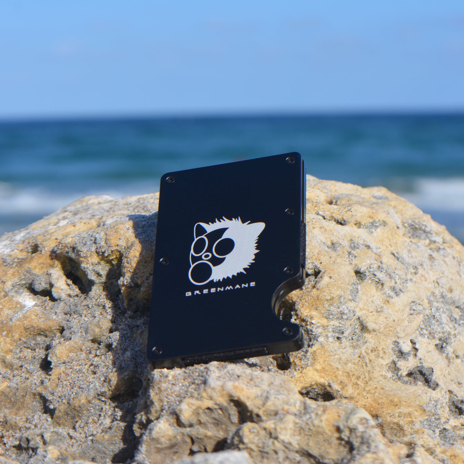 Vault Wallet