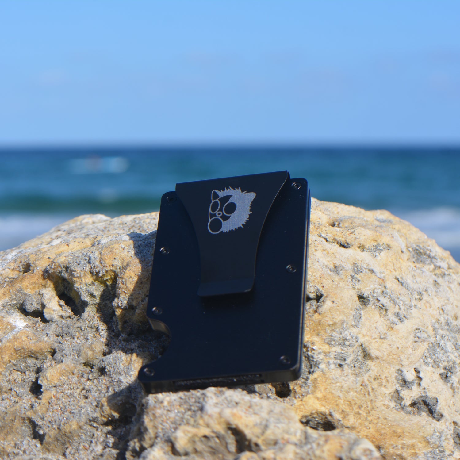 Vault Wallet